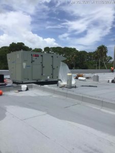 ECD94D57 83A2 40F3 AE22 1179FD89B75B min scaled