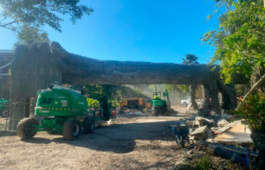 Bringing Dreams to Life The Art of Construction at